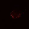 Thumbnail for dataset Figure6D_Re-ENR_pre