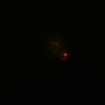 Thumbnail for dataset Figure6H_Fucci2a_EGFRivsErbB2i_3