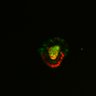 Thumbnail for dataset Figure6H_Fucci2a_ENR_day2_3