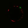 Thumbnail for dataset Figure6H_Fucci2a_ErbB2i_1