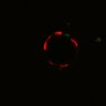 Thumbnail for dataset Figure6H_Fucci2a_ErbB2i_6