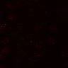 Thumbnail for dataset Figure7A_control_pre