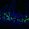 Thumbnail for Figure7HI_20170524_Edu_control_4
