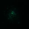 Thumbnail for dataset Figure8H_20180105_adenoma_shEGFL6_pre3