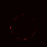 Thumbnail for dataset Figure4GH_BRAFi_0_1uM