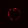 Thumbnail for dataset Figure4GH_BRAFi_10uM