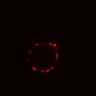 Thumbnail for dataset Figure4GH_BRAFi_1uM