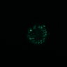 Thumbnail for dataset SuppFig4A_20171101_ErkNLS_EN3