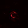 Thumbnail for dataset SuppFig4B_20171022_EGFRi_Post3
