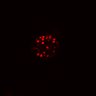 Thumbnail for dataset SuppFig4B_20171022_EGFRi-ErbB2i_Pre1