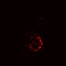 Thumbnail for dataset SuppFig4B_20171022_ErbB2i_Pre1