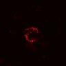 Thumbnail for dataset SuppFig4C_EN_EGFRi
