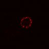Thumbnail for dataset SuppFig4D_ER_2