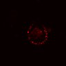 Thumbnail for dataset SuppFig4E_EGFRi-ErbB2i_post1