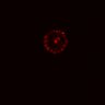 Thumbnail for dataset SuppFig5C_Wnt_EGFRi-ErbB2i