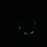 Thumbnail for dataset SuppFig5D_ErkNLS_control_1