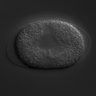 Thumbnail for dataset RNAi_K06H7.1_040812_01