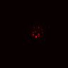 Thumbnail for dataset SuppFig5E_bcat_EGFRi_pre1