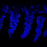 Thumbnail for SuppFig7G_20170606_Erlotinib