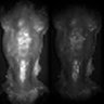 Thumbnail for dataset Figure5K_MEKi_20170425