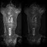 Thumbnail for dataset Figure5K_MEKi_20170512
