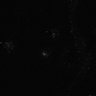 Thumbnail for dataset Figure1EF_20170217_epidermis_nuclear_displacement_tracking
