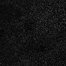 Thumbnail for dataset Figure1G_epidermis_20170217-8_epidermis_nuclear_displacement_tracking