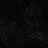 Thumbnail for dataset Figure1G_urothelium_20150219-3_nuclear_displacement_tracking