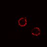 Thumbnail for dataset Fig4b_pre_stiumlation_dark