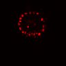 Thumbnail for dataset Fig4g_postHgL_1p