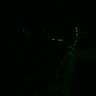 Thumbnail for dataset Fig1b_movie1_ECNuclei_trajectory
