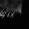 Thumbnail for Fig3a_ECNuclei_trajectory_branch1