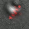 Thumbnail for dataset Fig1B_140414_PIAS1_localize