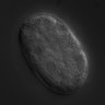 Thumbnail for RNAi_R07E5.14_080612_01