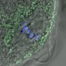 Thumbnail for dataset Fig1C_141016_PIAS1_metaphaseII_12h