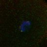 Thumbnail for dataset Fig1D_FigS1B_160420_TelophaseI_samples1