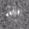 Thumbnail for dataset Fig1E_S1D-E_150327_NG-SUMO3gg
