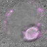 Thumbnail for dataset Fig2A_180105_PIAS-CENP-C