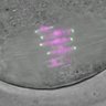 Thumbnail for dataset Fig2A_180106_MII