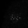 Thumbnail for dataset Fig2D_150527_pias1dn_cenpc_image23