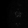 Thumbnail for dataset Fig2D_150527_pias1dn_cenpc_image25