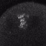 Thumbnail for dataset Fig2D_170301_control_cenpc_image1_1
