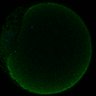 Thumbnail for dataset Fig2D_170301_interKT_pias1-cenpc_image47
