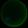 Thumbnail for dataset Fig2D_170301_interKT_pias1dn-cenpc_image7