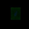 Thumbnail for dataset Fig2D_170301_interKT_pias1dn-cenpc_image12