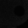 Thumbnail for dataset Fig2D_170301_pias1-cenpc_image6