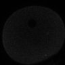 Thumbnail for dataset Fig2D_170301_pias1-cenpc_image15