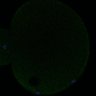 Thumbnail for dataset Fig2D_170301_pias1-cenpc_image46