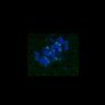 Thumbnail for dataset Fig3B_170315_Sgo2plusplus_image27