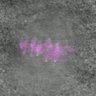Thumbnail for dataset Fig3C_160917_cenpc_1_Sgo2